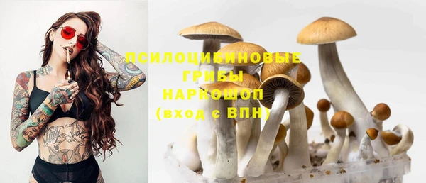 гашишное масло Беломорск