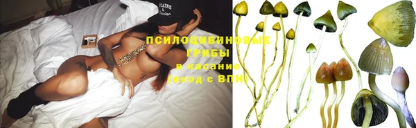 дживик Козельск