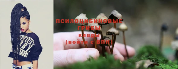 кокаин премиум Белокуриха
