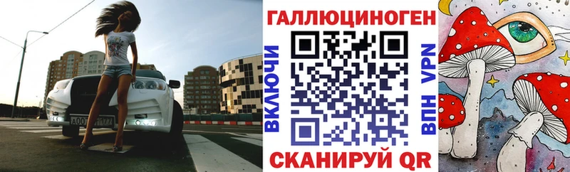 как найти закладки  Вязники  Галлюциногенные грибы Magic Shrooms 